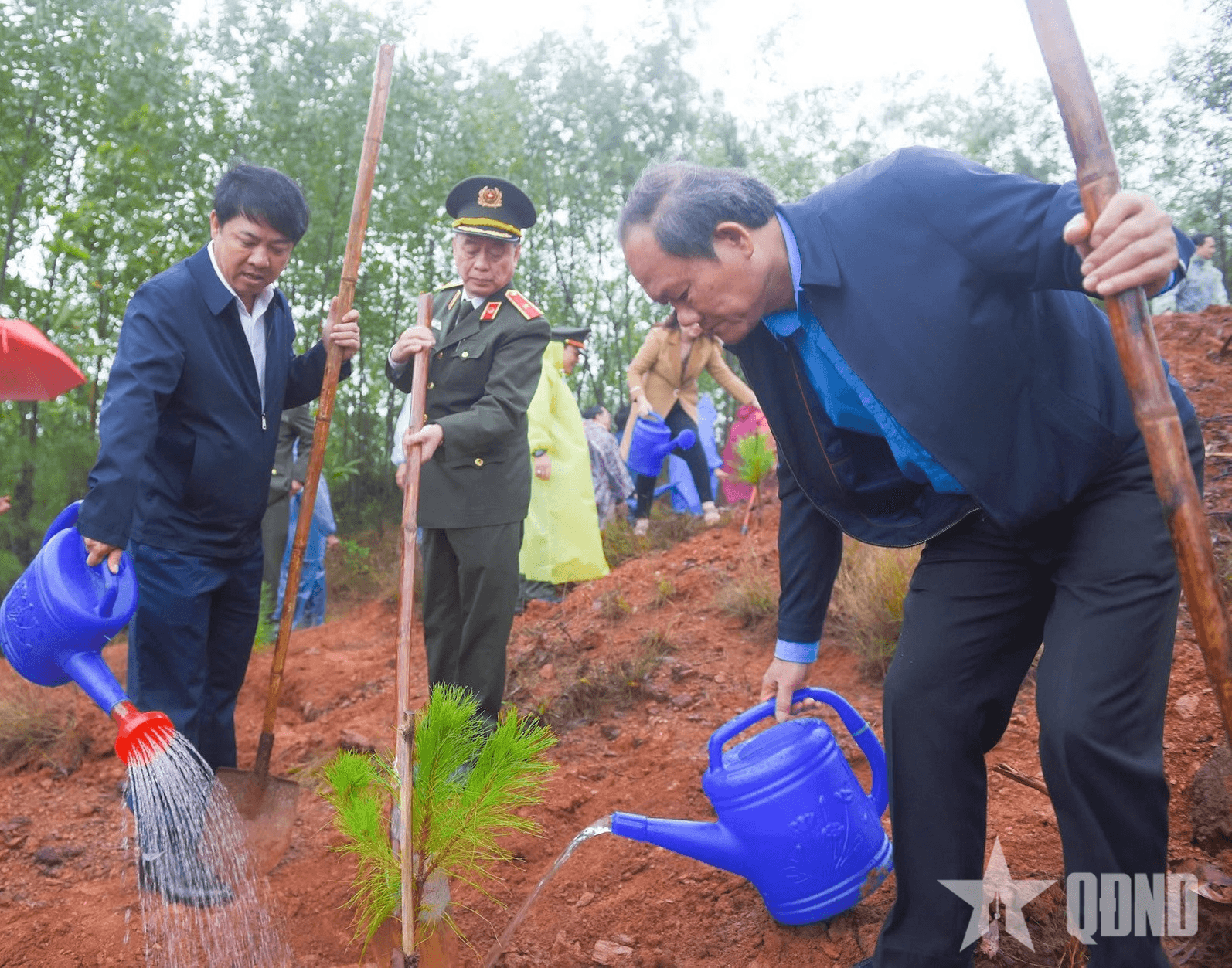 Quảng Nam: Phấn đấu trồng hơn 11,1 triệu cây xanh trong năm 2025