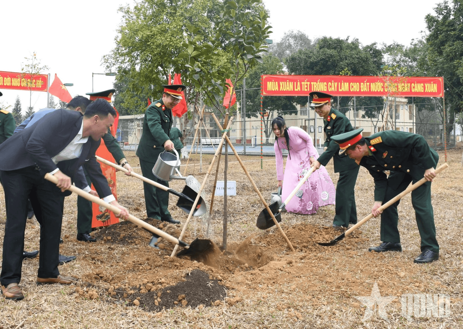 Lữ đoàn 139 phát động Tết trồng cây Xuân Ất Tỵ 2025