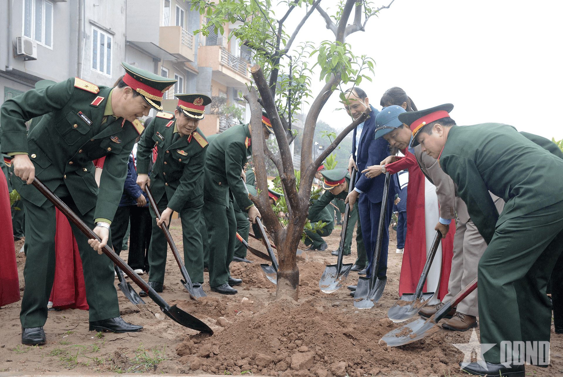 Bộ tư lệnh 86 phát động Tết trồng cây