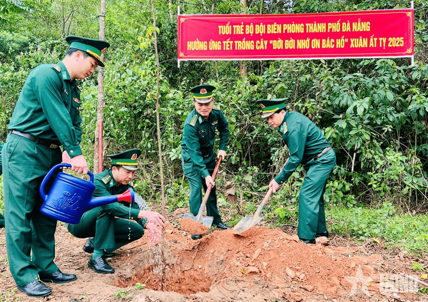 Bộ đội Biên phòng TP Đà Nẵng phát động Tết trồng cây Xuân Ất Tỵ 2025