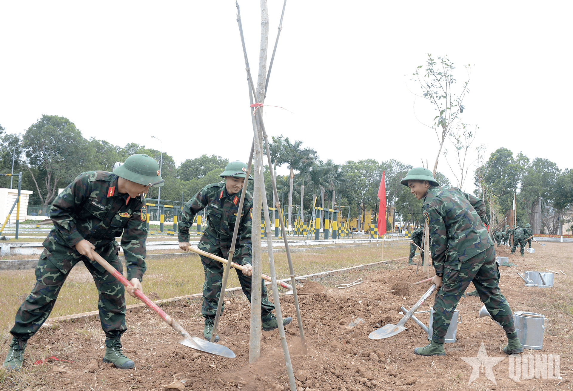 Binh chủng Pháo binh sẽ phủ xanh 27ha đất trong năm 2025