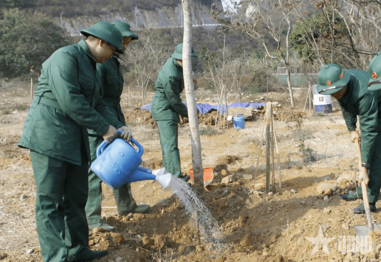 Hàng trăm thanh niên chuẩn bị nhập ngũ tham gia Tết trồng cây tại thành phố Sơn La