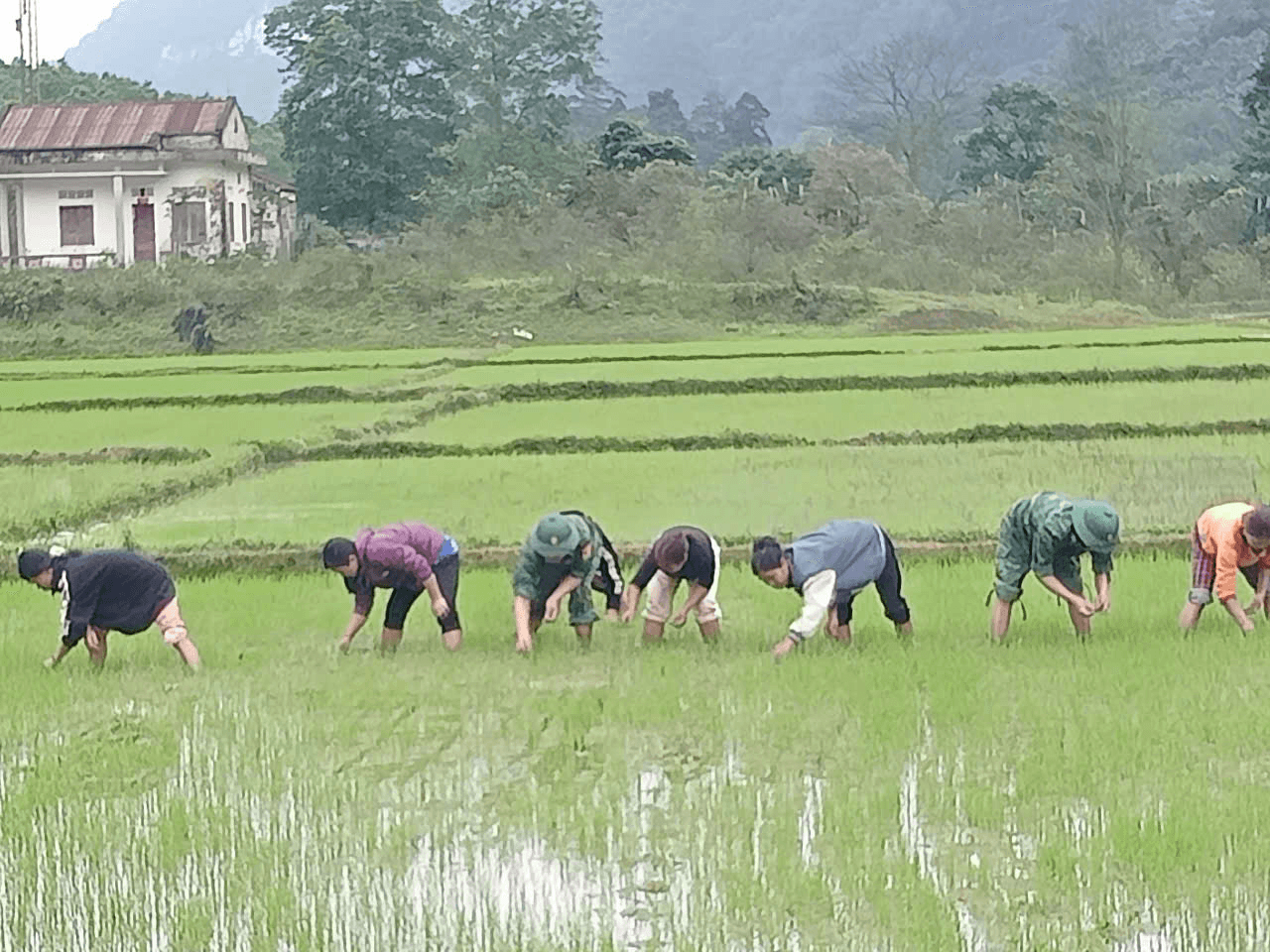 Cuộc sống đổi thay của đồng bào Rục Mò O Ồ Ồ