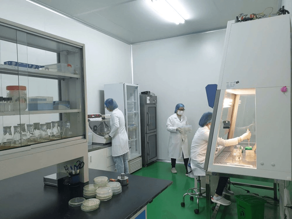 Tháo gỡ khó khăn trong hoạt động nghiên cứu khoa học