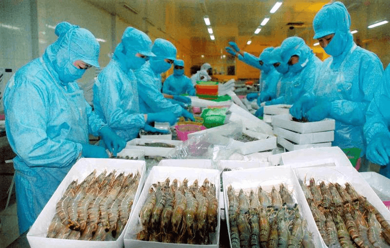 Xuất khẩu tôm của Việt Nam bứt phá mạnh mẽ