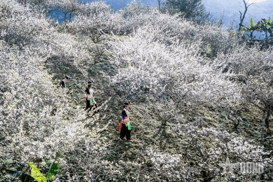 Du lịch giúp người dân vùng cao tạo việc làm, thu nhập ổn định
