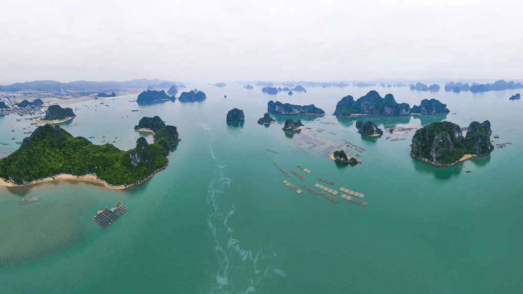 Quảng Ninh đưa vào khai thác tuyến tham quan vịnh Bái Tử Long