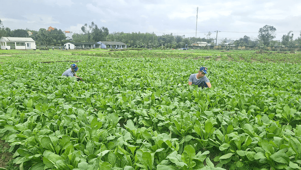Chăm lo chất lượng bữa ăn cho chiến sĩ mới