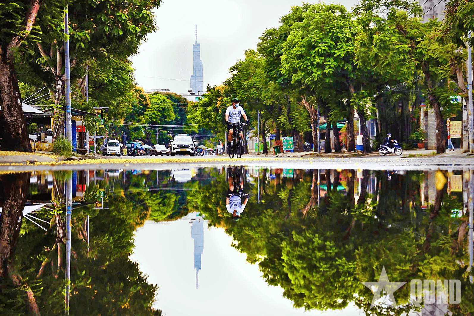 TP Hồ Chí Minh: Muôn sắc hoa, vạn nẻo ký ức
