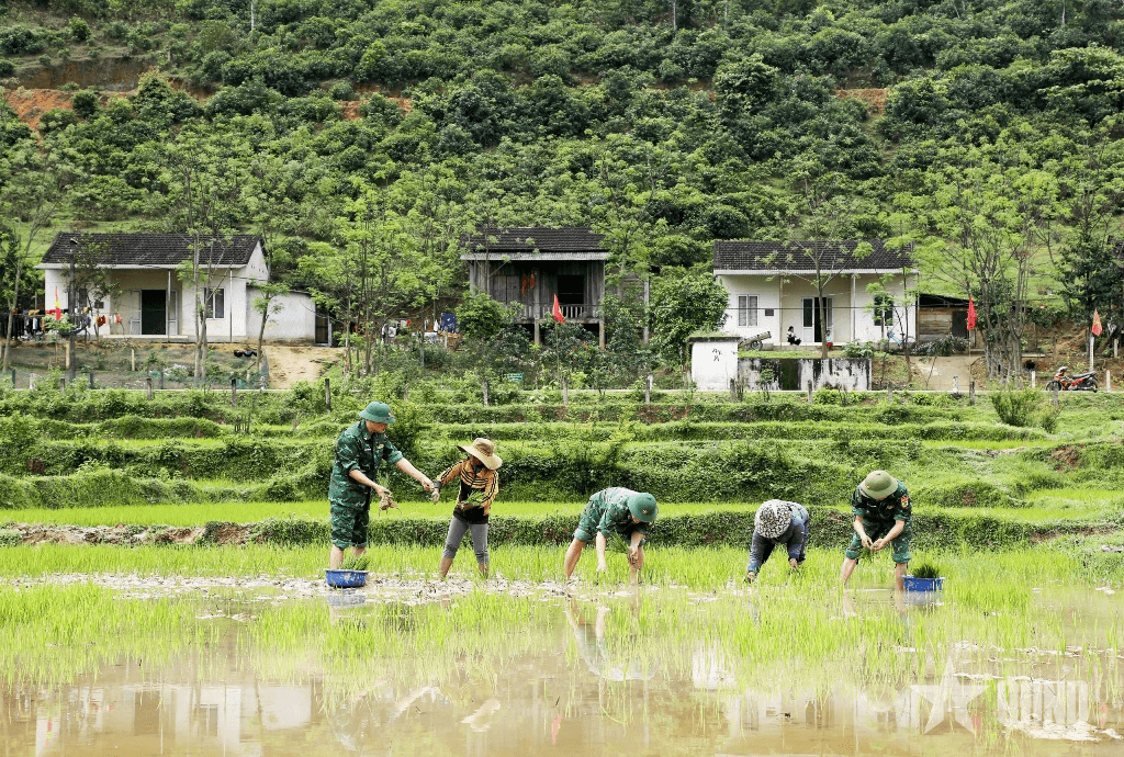 Bản làng đổi thay, cuộc sống tốt đẹp hơn nhờ các anh Bộ đội Biên phòng
