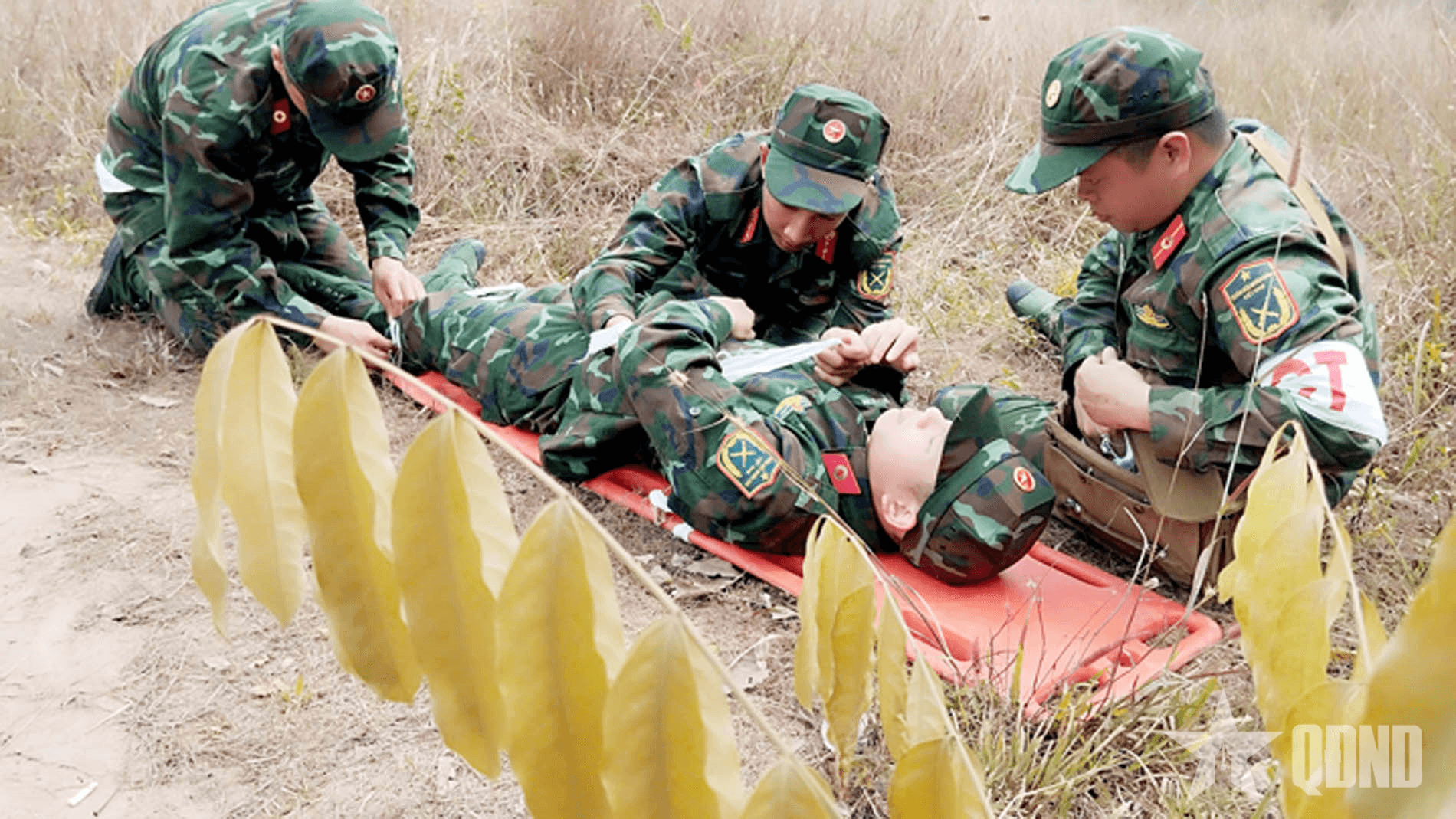 Trường Cao đẳng Hậu cần 2 nâng cao kiến thức, kỹ năng thực hành cho học viên