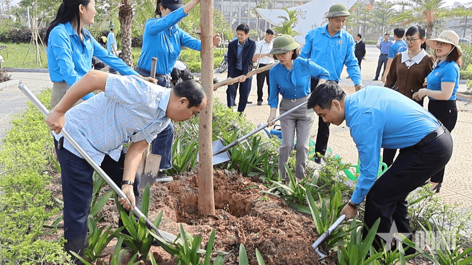 Điện Biên: Phát động trồng mới hơn 200 cây hoa ban