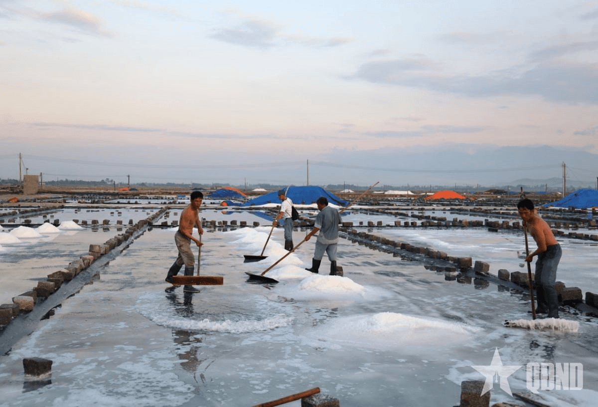 Những "viên ngọc" tự nhiên của biển Hòn Khói