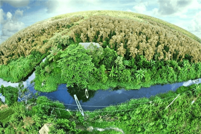 Viễn thám giữ vai trò đặc biệt quan trọng trong cung cấp thông tin