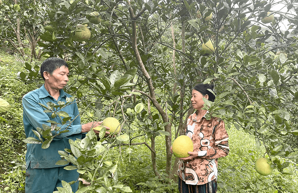Nậm Đinh đổi thay từ mảnh đất, bàn tay và tinh thần vượt khó