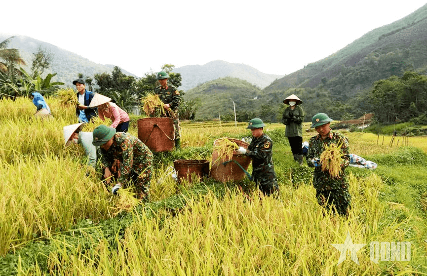 “Cột mốc niềm tin” nơi thượng nguồn sông Mã-Bài 3: Những mùa no ấm trên biên cương (Tiếp theo và hết)