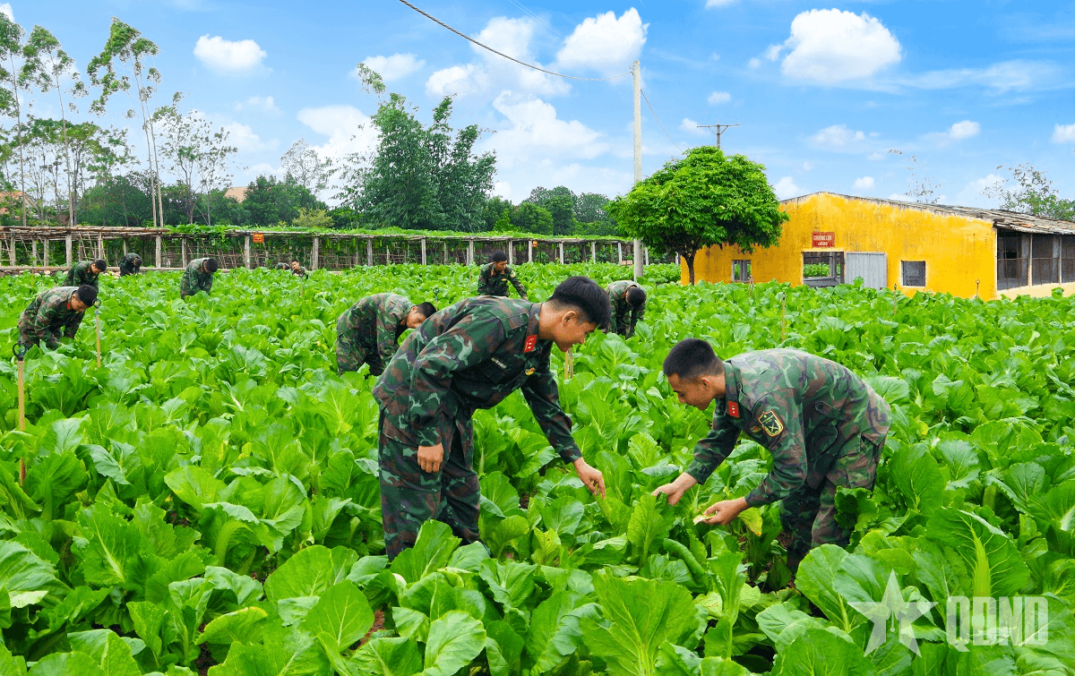Càng thấm hơn ý nghĩa của công tác tăng gia sản xuất