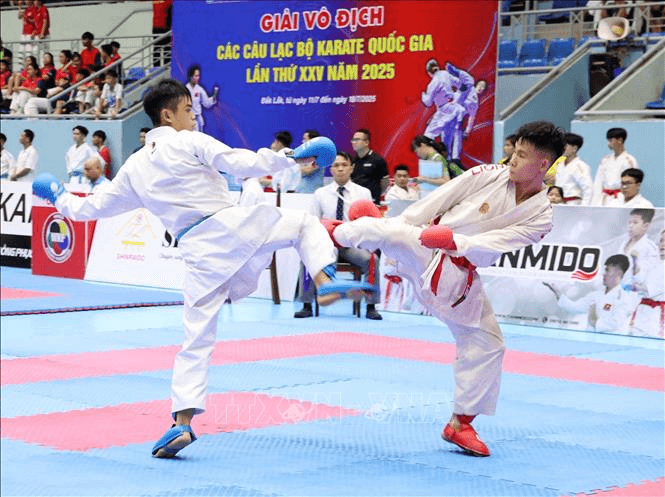 Giải các câu lạc bộ karate quốc gia