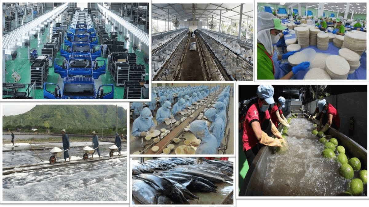Kinh tế tư nhân là một động lực quan trọng nhất - Quan điểm đúng đắn, sáng tạo của Đảng ta