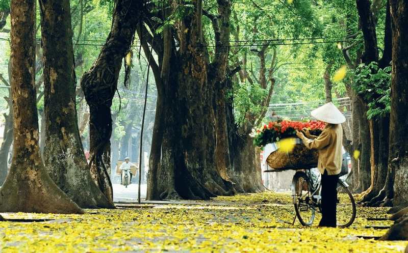 Hà Nội và TP Hồ Chí Minh vào danh sách “Các thành phố tuyệt vời nhất thế giới”