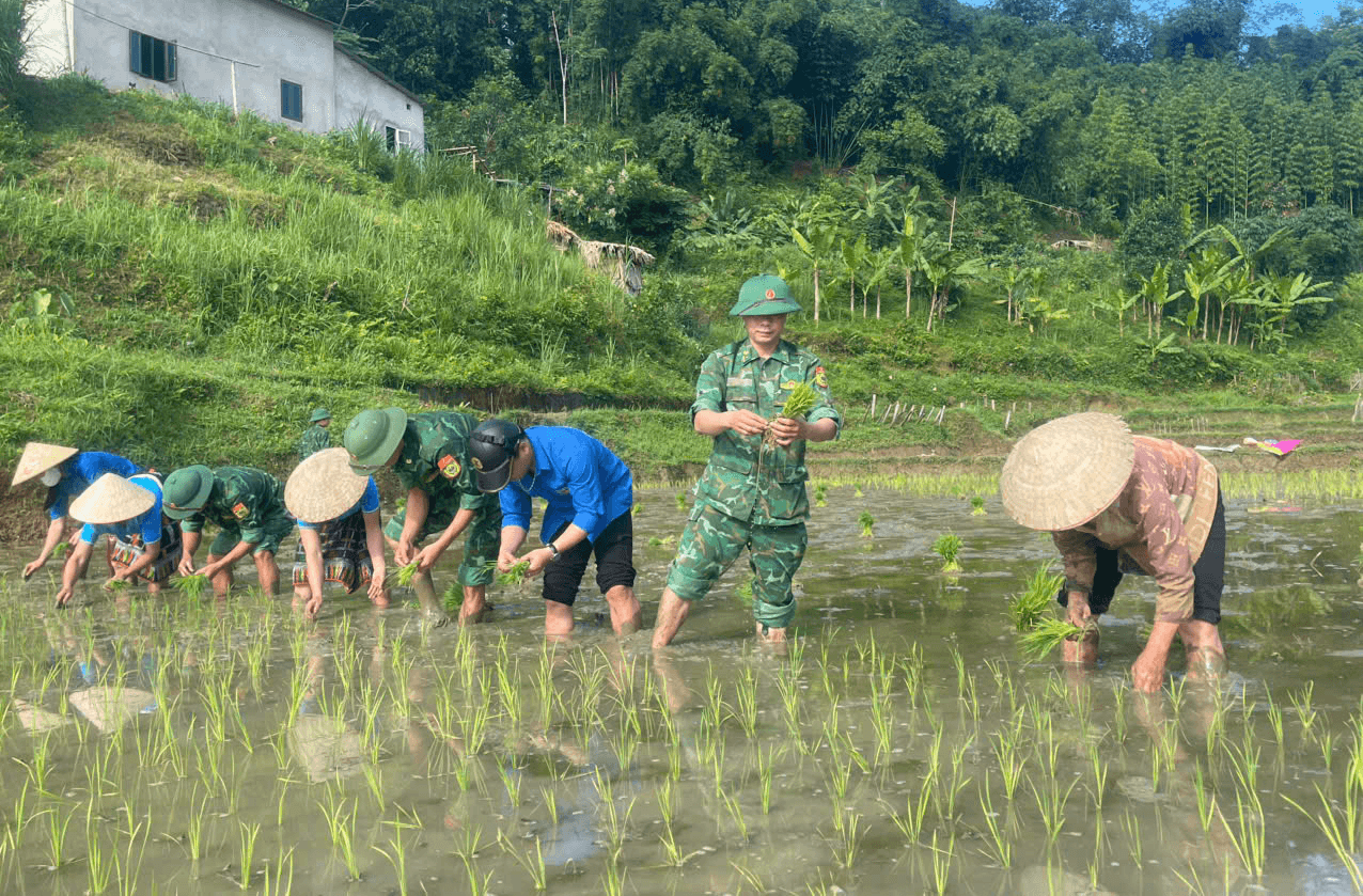 Bản sáng vùng biên