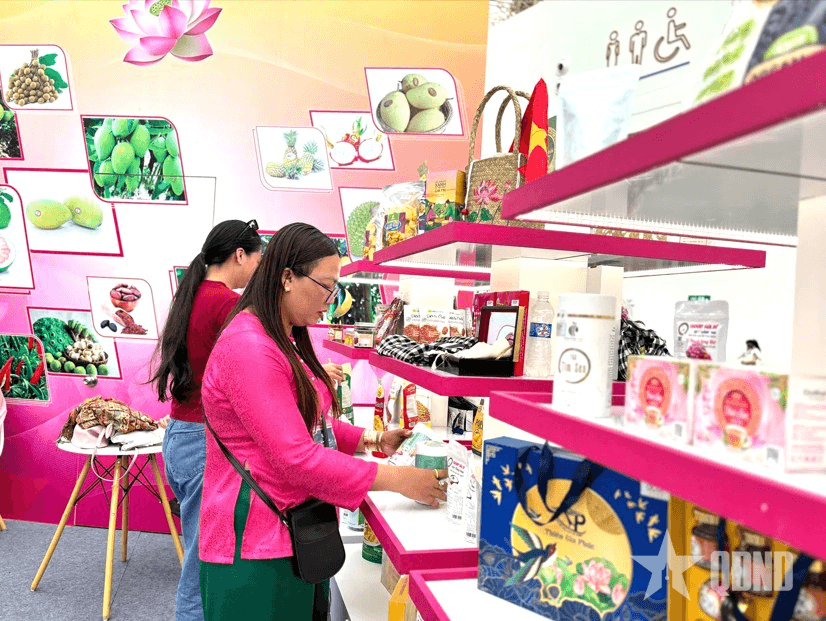 Bình dị đất sen hồng