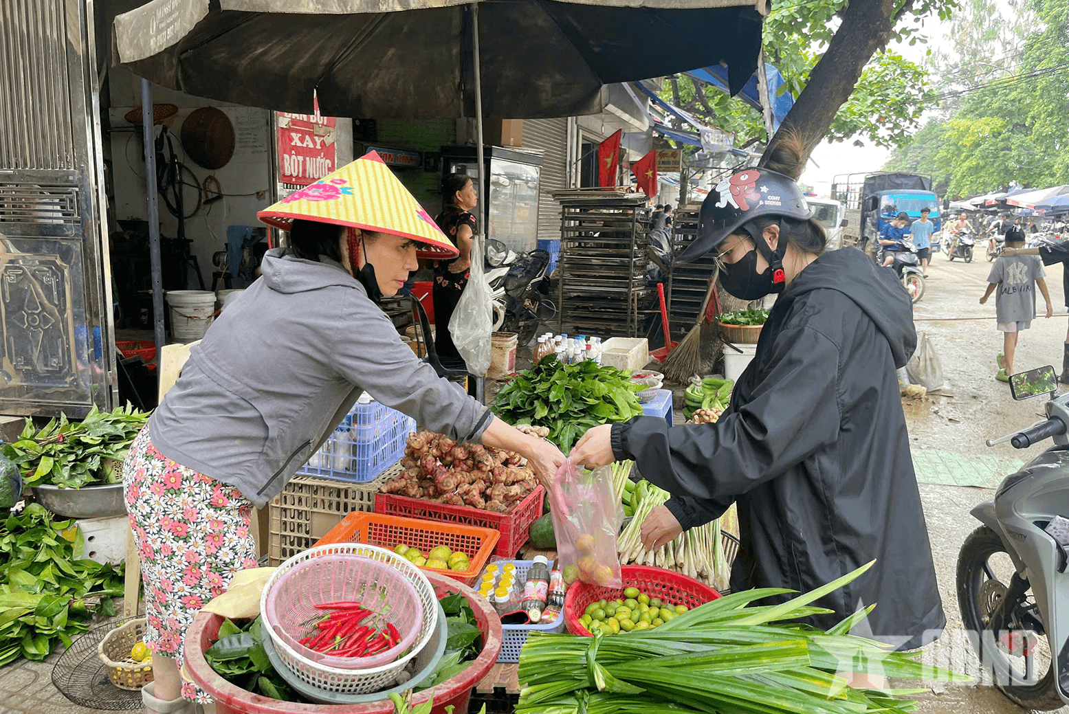 Thái Nguyên: Sau mưa lũ, giá rau xanh tăng nhẹ, nguồn cung thực phẩm ổn định