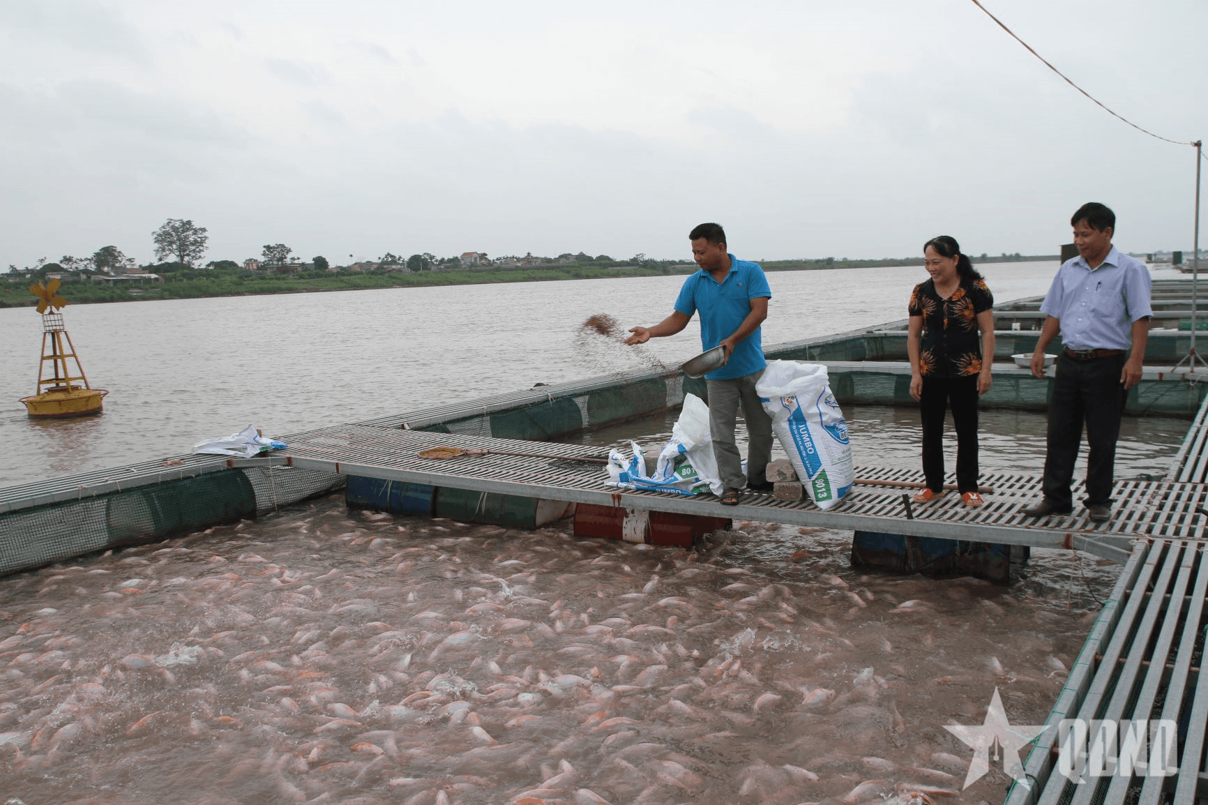 Nâng giá trị nông sản bằng tư duy thị trường