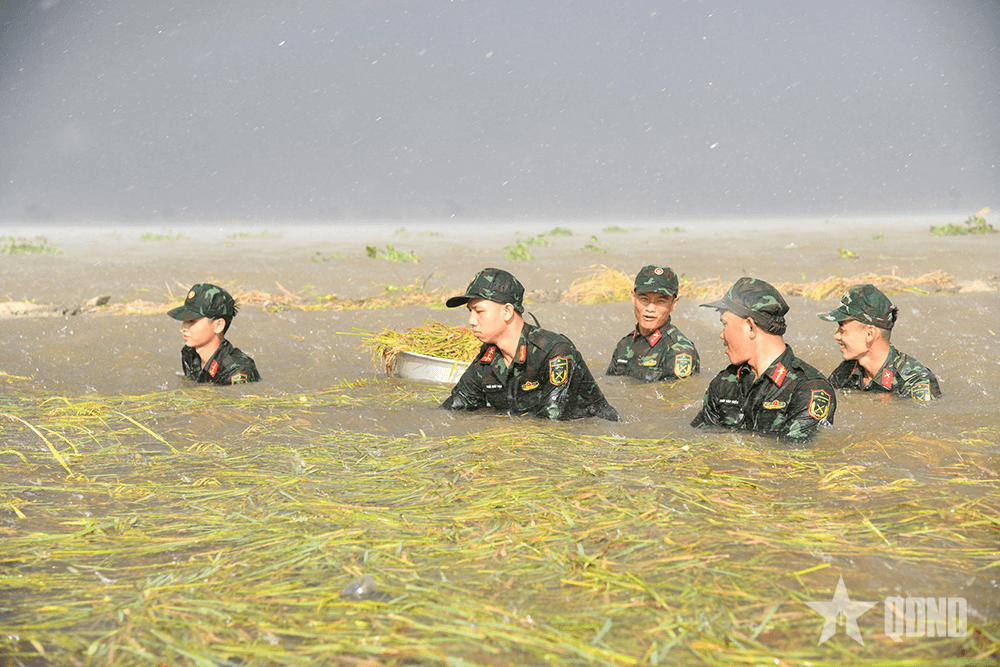 Lũ lớn ở vùng Đồng Tháp Mười, tỉnh Tây Ninh: Bộ đội, dân quân sát cánh giúp nhân dân