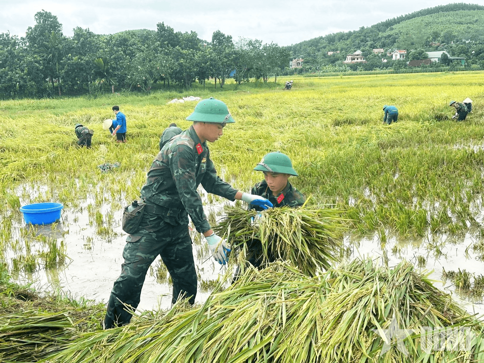 Hỗ trợ quân nhân điều trị vô sinh, hiếm muộn: Chính sách đầy nhân văn và ý nghĩa
