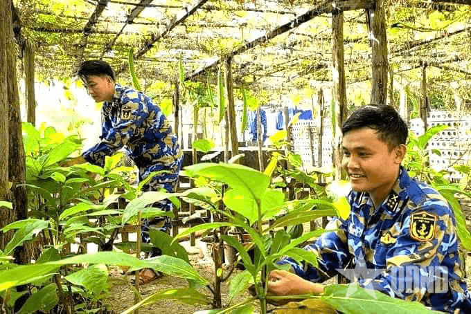 Ngành quân nhu Hải quân làm theo Bác từ những điều giản dị