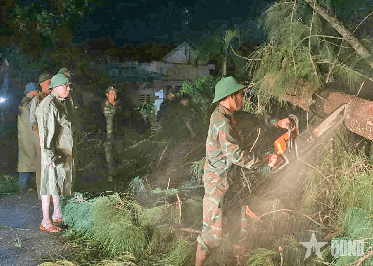 Lực lượng vũ trang tỉnh Gia Lai: Cắt tỉa, dọn dẹp cây gãy đổ, thông Quốc lộ 1A ngay trong đêm