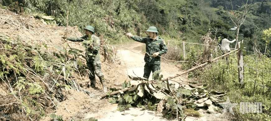 Đà Nẵng: Tăng cường chó nghiệp vụ tham gia tìm kiếm nạn nhân ở xã Hùng Sơn
