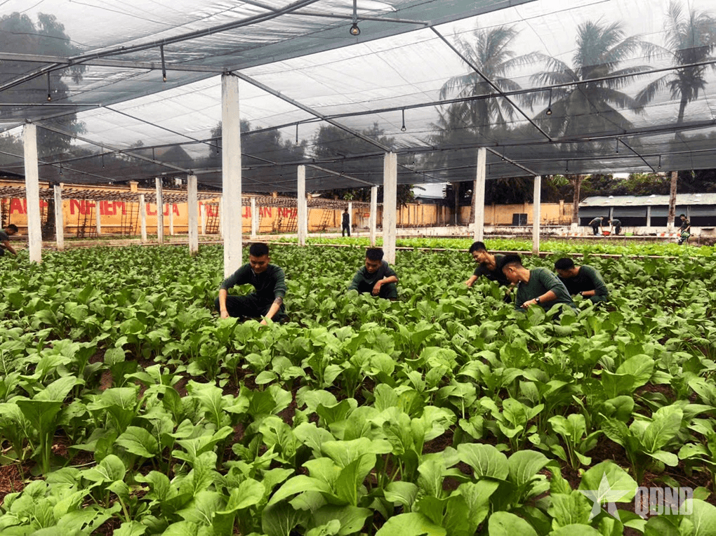 "Thực túc binh cường" ở Trung đoàn 762