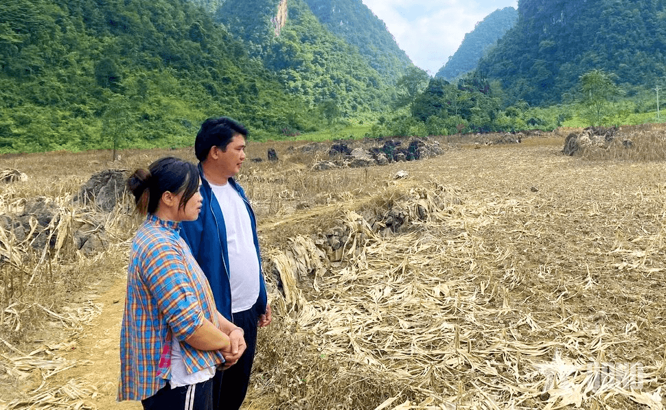 Những người gieo mầm tin yêu vững bước theo Đảng-Bài 3: Bí thư chi bộ Nông Văn Nghiệp và hành trình “chuyển mình” của Lũng Chuống