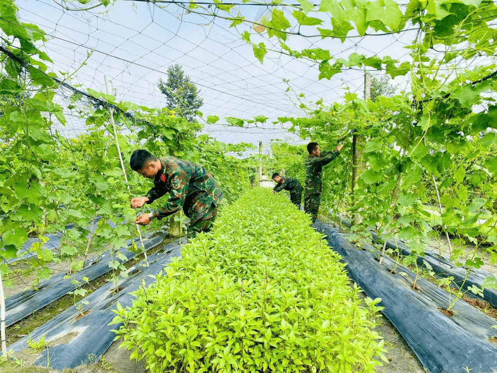 Trung đoàn 5 - điểm sáng về công tác hậu cần