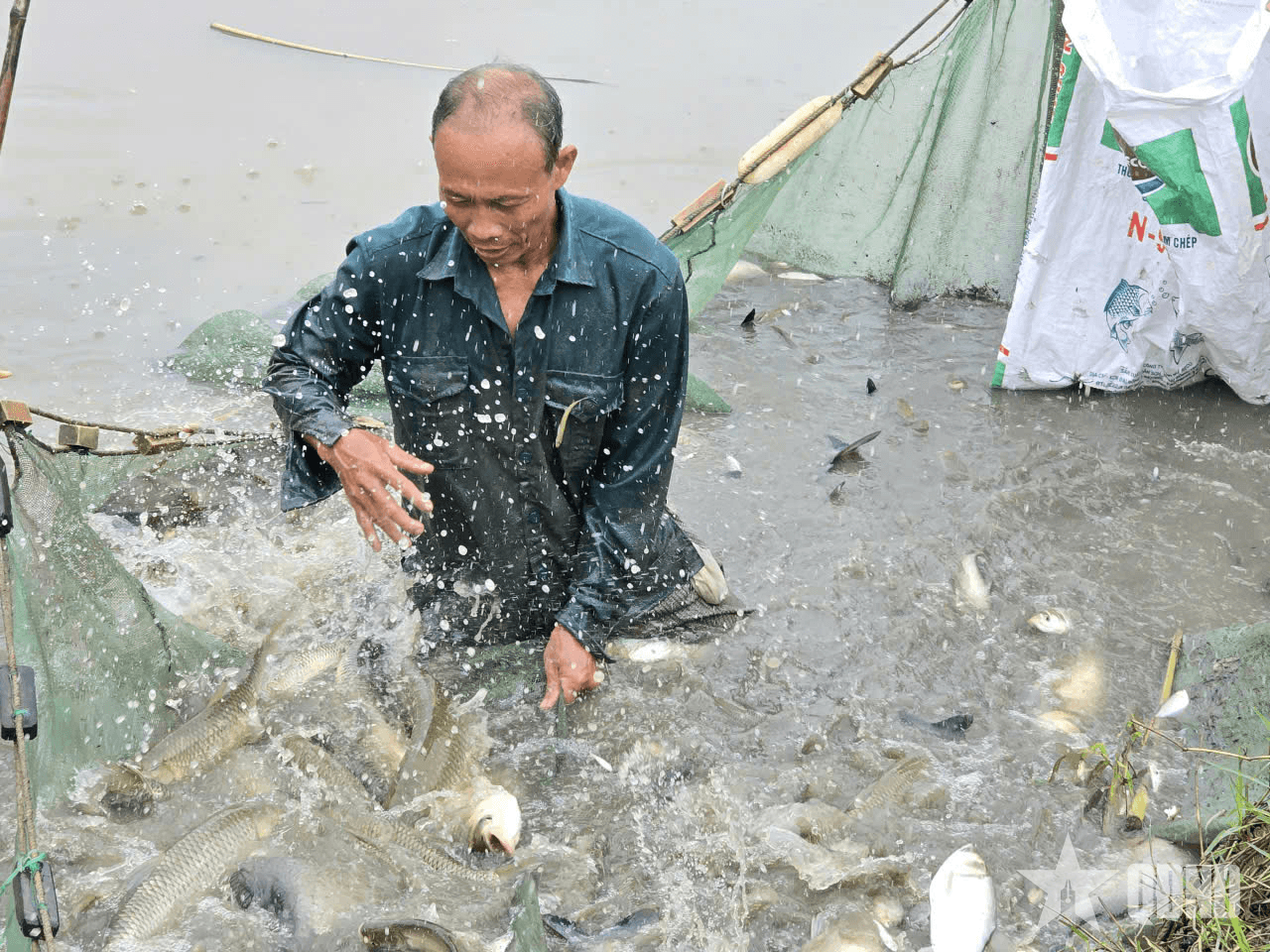Cựu chiến binh Phạm Bá Tấn vững vàng trên mặt trận sinh kế
