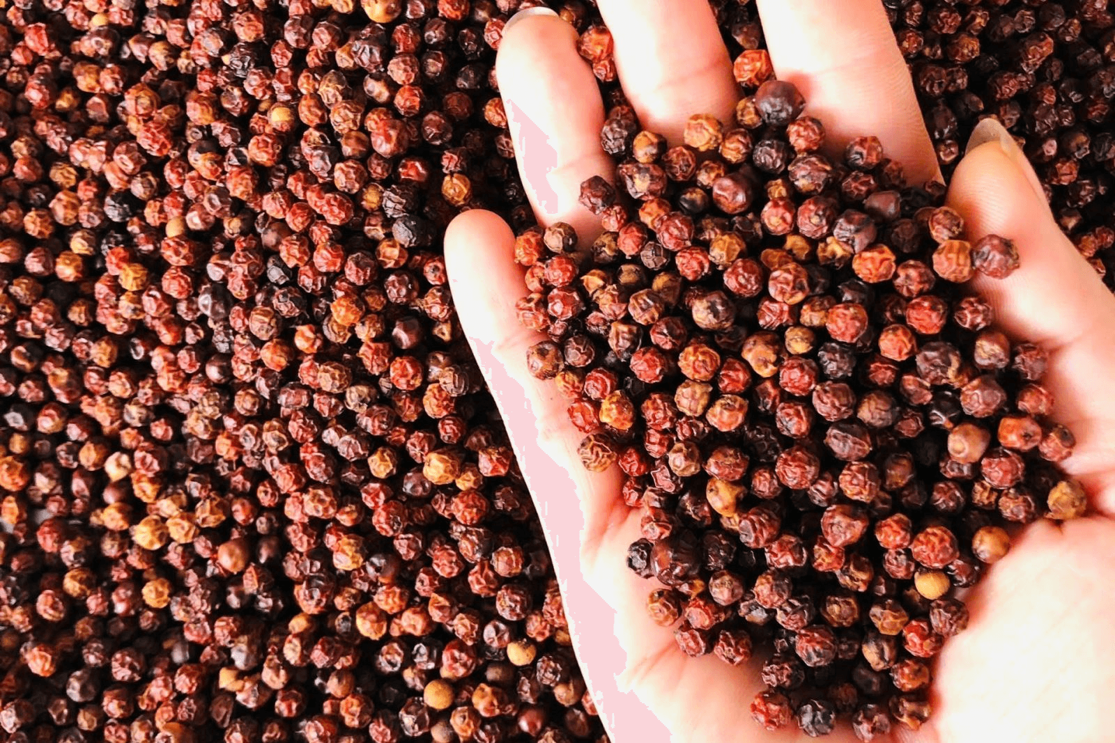 Bản tin nông sản hôm nay (30-12): Giá hồ tiêu ổn định