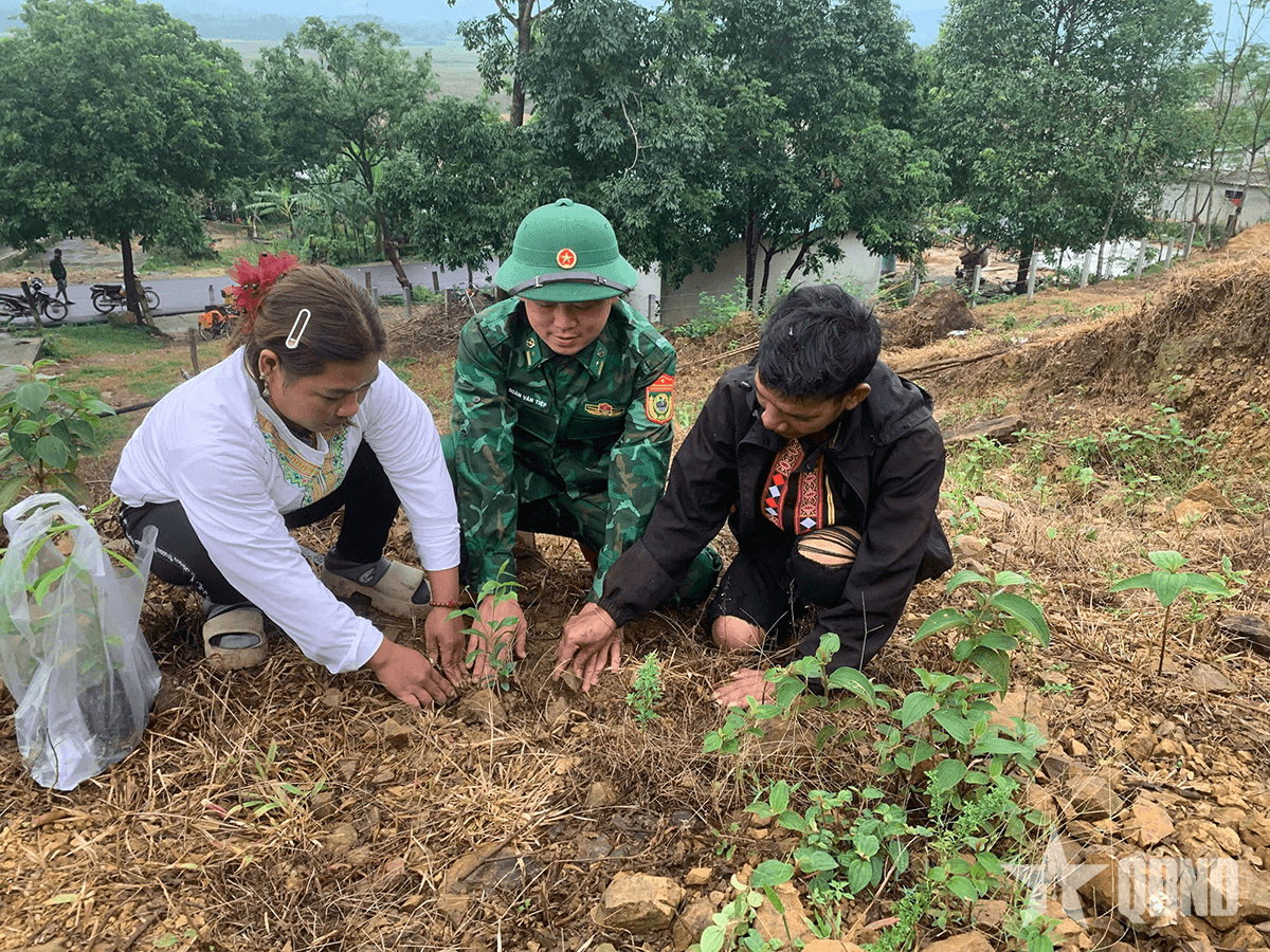 Chung sức cùng Rào Tre vượt khó