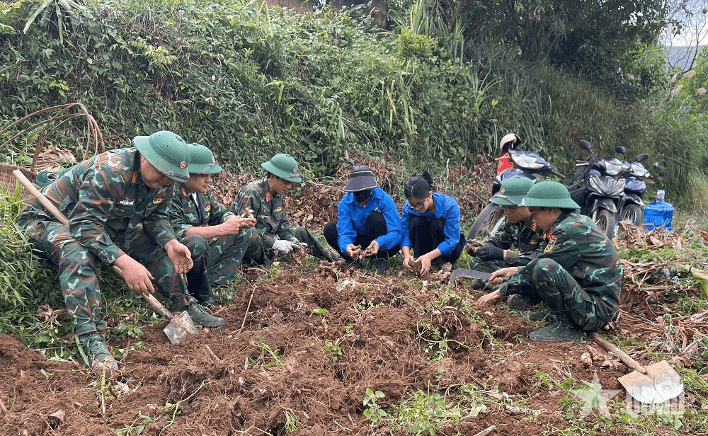 Lâm trường 156 “3 bám, 4 cùng” với đồng bào