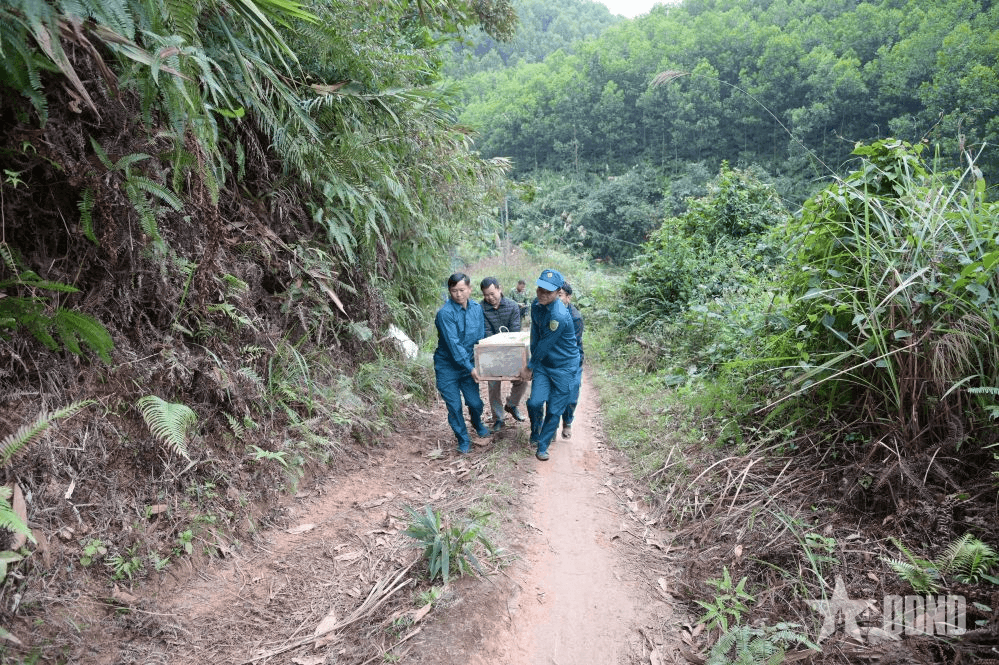 Bộ CHQS tỉnh Tuyên Quang: Hủy nổ an toàn quả bom sót lại sau chiến tranh