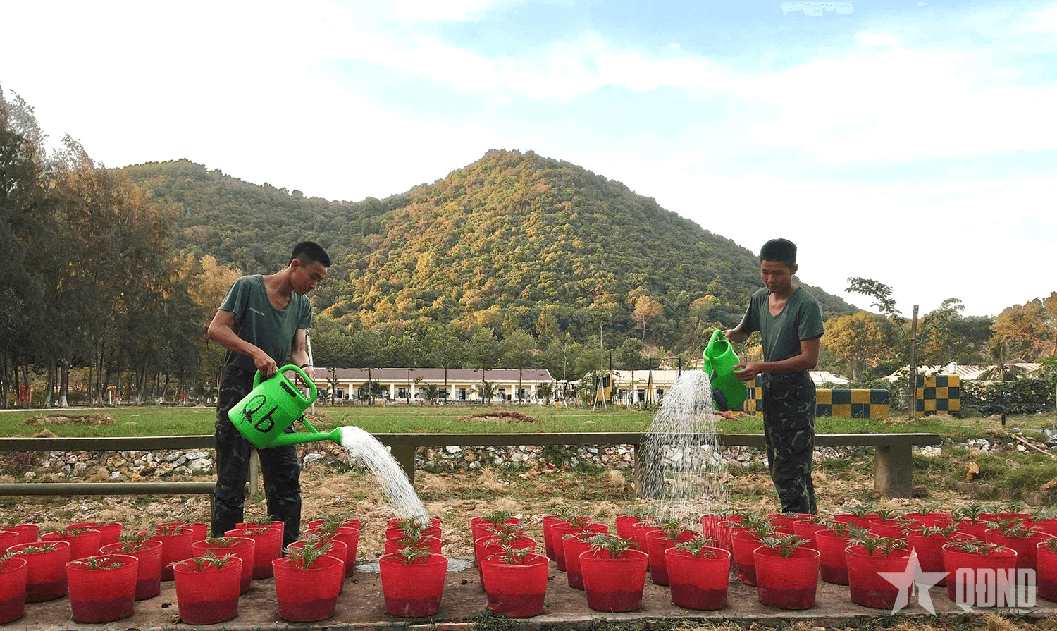 Bộ đội Trung đoàn 20 gieo những mầm xuân