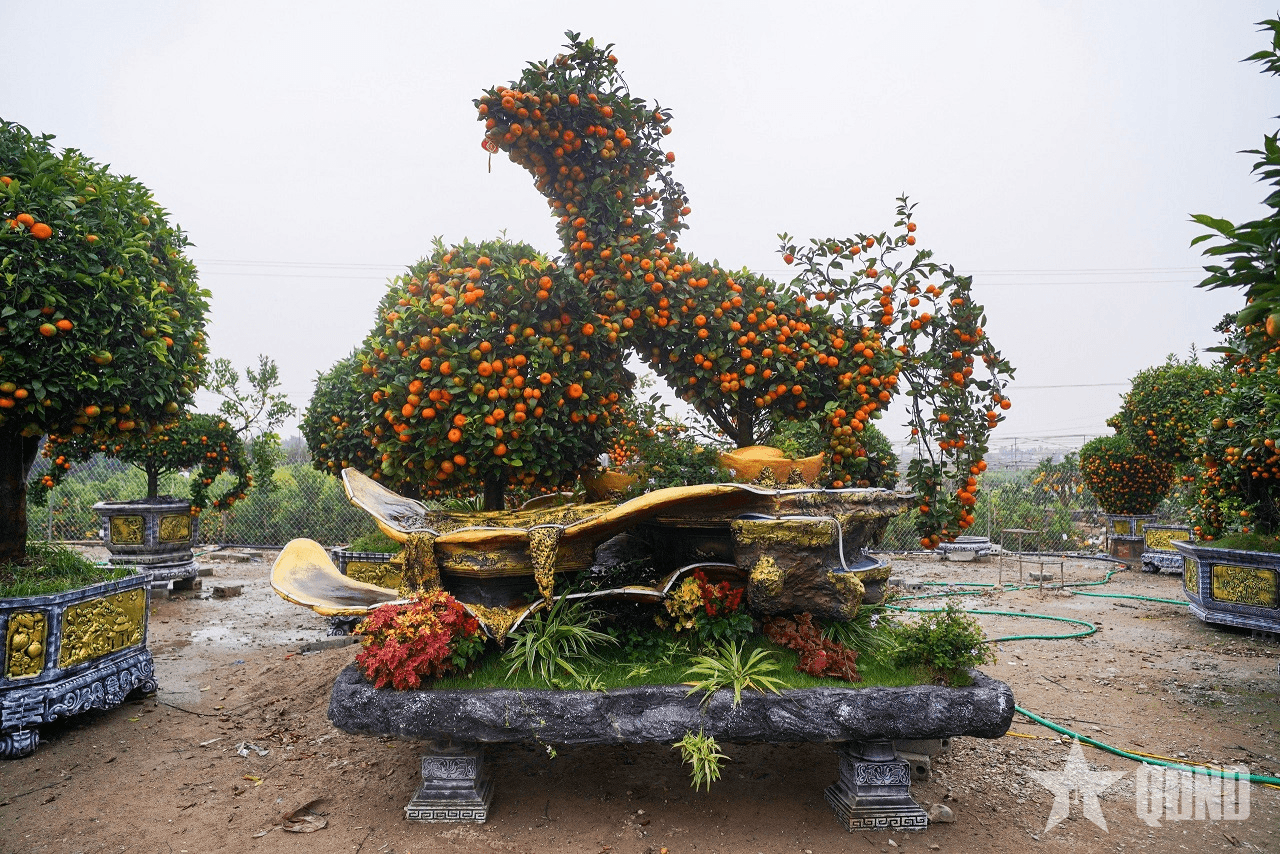 Ngắm “đàn ngựa” làm từ quất đón Tết Bính Ngọ