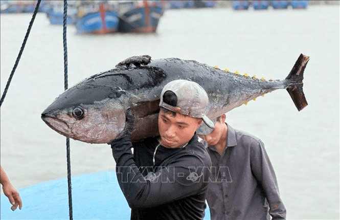 Chính phủ ban hành Nghị định quy định chi tiết thi hành Luật Thủy sản