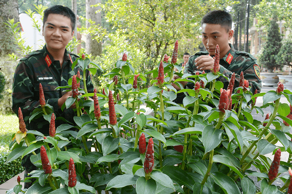 Để chiến sĩ thêm chắc tay súng