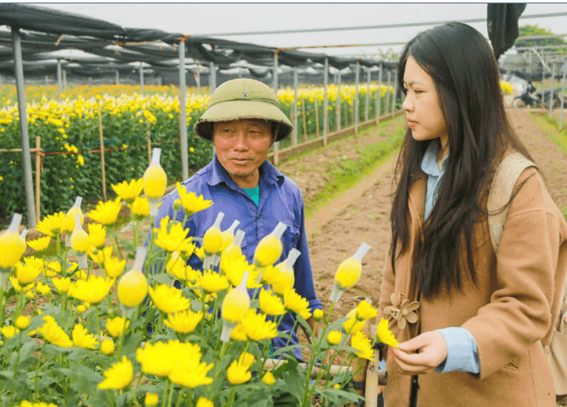 Làng hoa Tây Tựu chuẩn bị phục vụ Tết Bính Ngọ