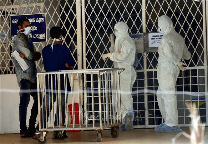 Nhật Bản thử nghiệm lâm sàng vaccine ngừa virus Nipah