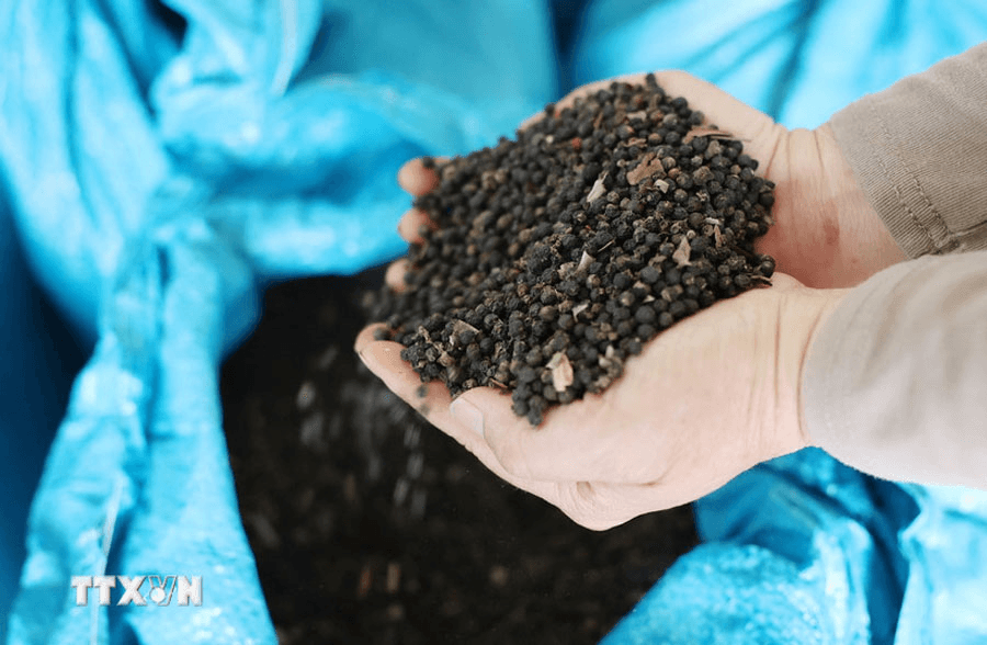 Bản tin nông sản hôm nay (5-2): Giá cà phê giảm mạnh; hồ tiêu giảm 1.000 đồng/kg