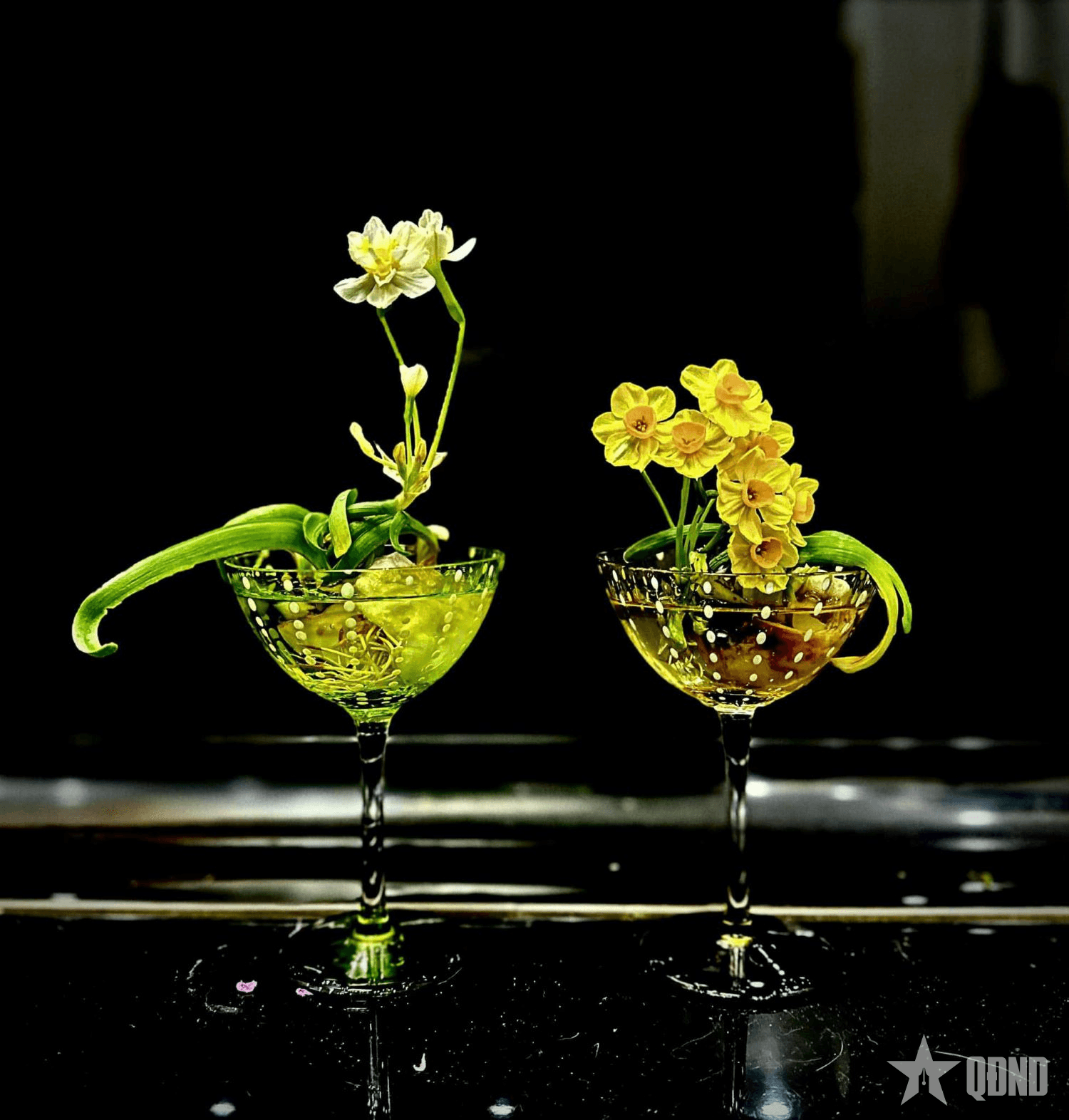 Hoa thủy tiên, biểu tượng văn hóa còn mãi