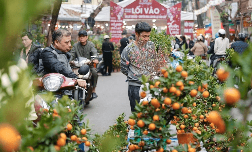 Thời tiết hôm nay (15-2): Miền Bắc sáng có sương mù, trưa chiều trời nắng
